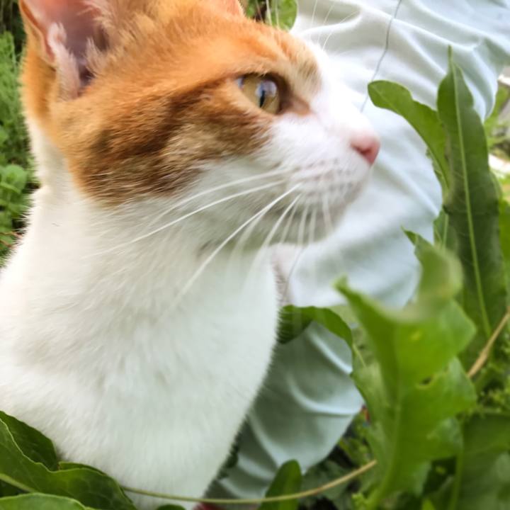 42949c7c 0cd5 4d80 8fbe 383c69fb976c