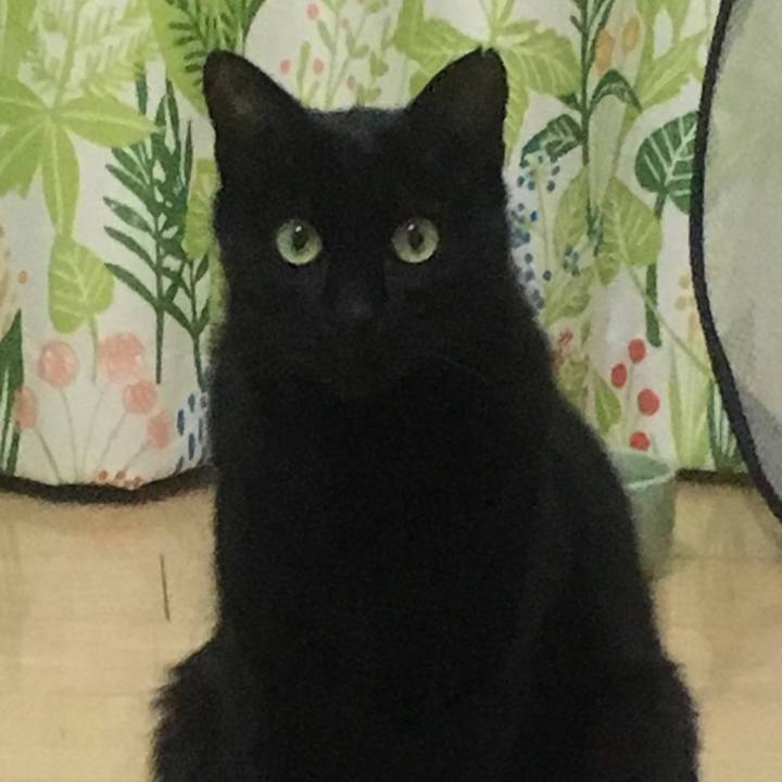 4294cc63 1e01 4c9b aa73 e921f173f47e