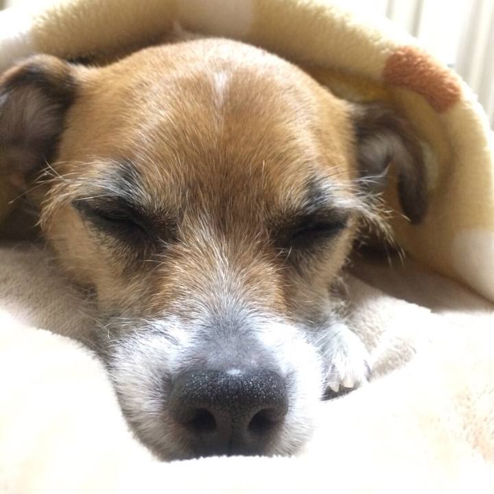 42951b4e 9311 4449 b371 f81207c5128d