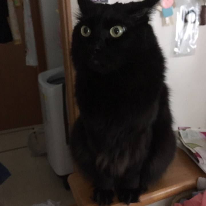 42957e6f 331f 4b23 b680 9582da81d9f6