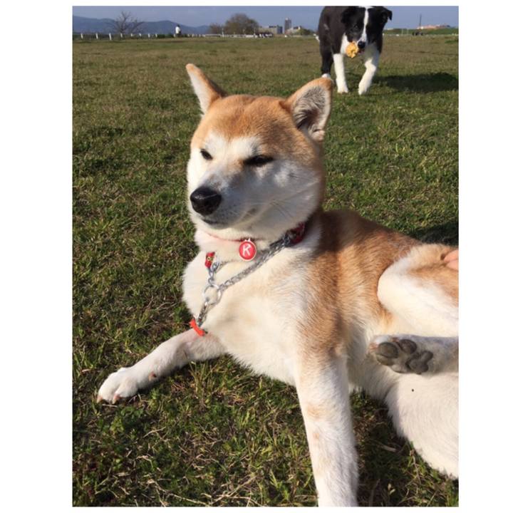 42958be9 7526 4be2 a331 019567d8598a