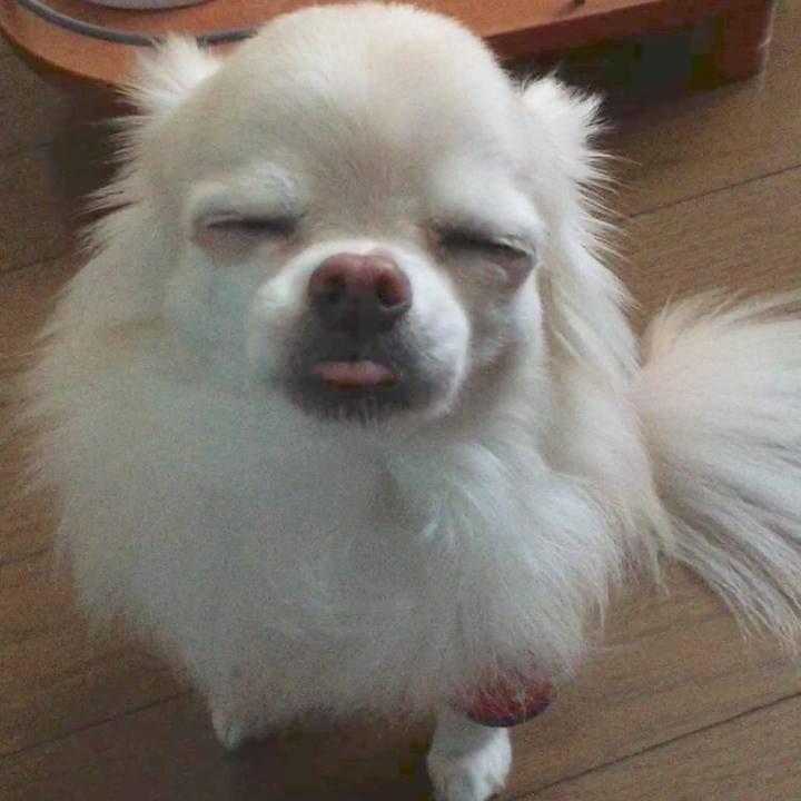 42958d80 83df 44f3 b256 1fab17a479fc