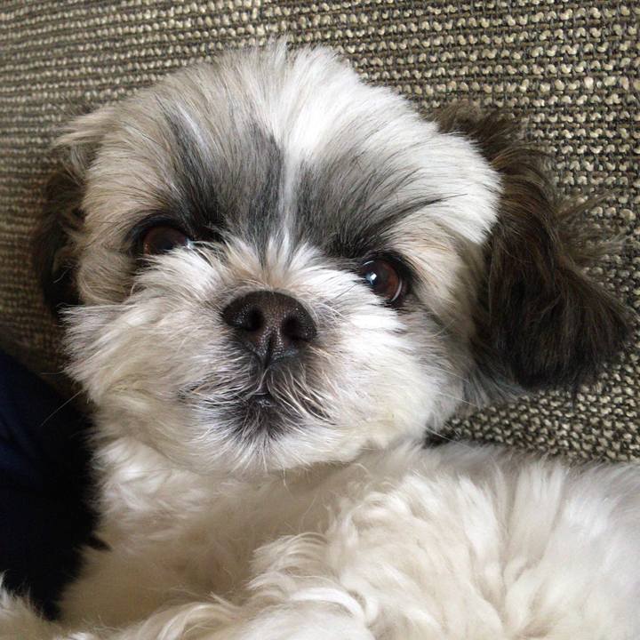 4296304b 3d70 472c a625 8a0ccec122bf