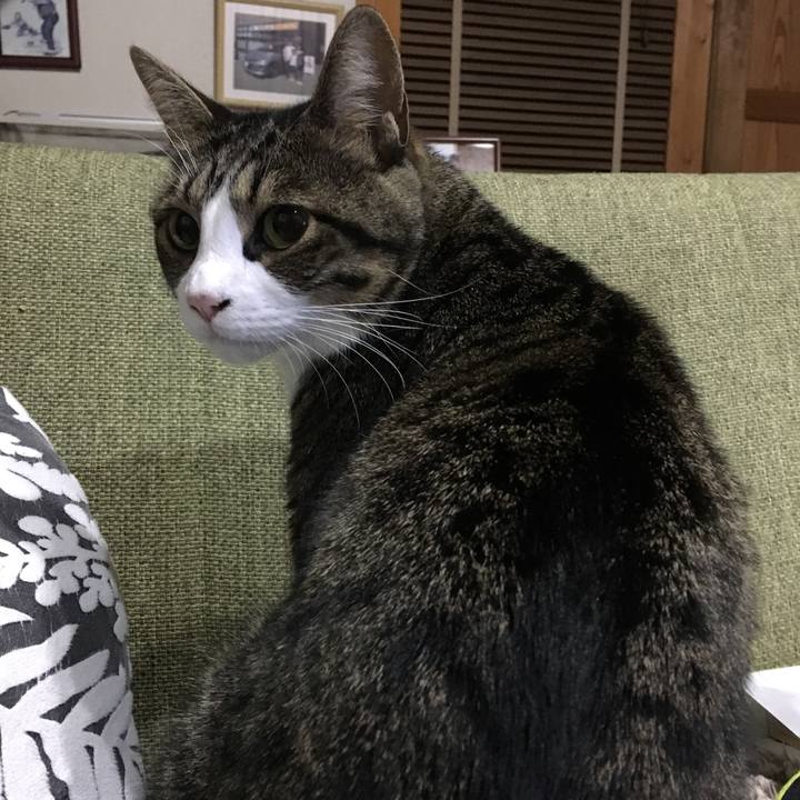 42977ea3 af6a 4e62 a672 6ade980736b3