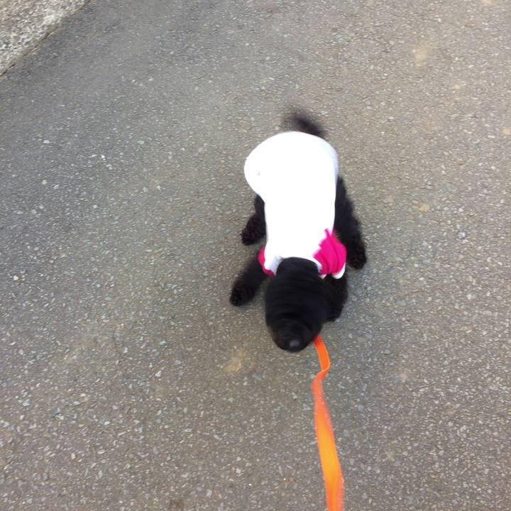 42980255 3262 45ff 9740 fe0bafd8d6e0