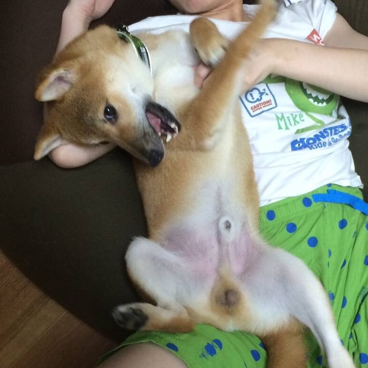 42983a33 1d48 42a9 b9b0 9d6d2d681906