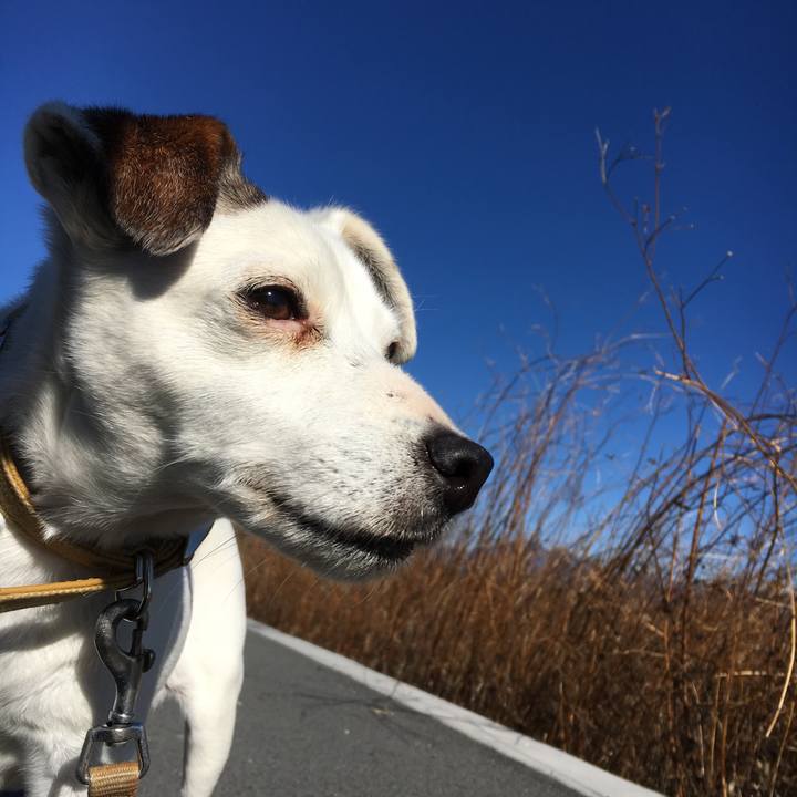 42984282 dfbb 4c36 925c 1fe382b4fe71