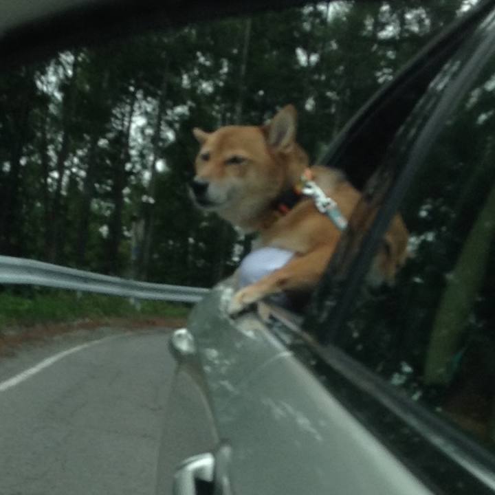 42988ebc c9d3 40b3 ad5b e5d409c74d20