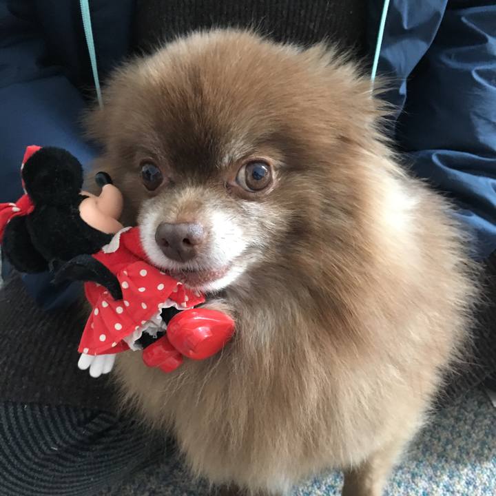 42988f6b 041d 479c aa68 8573540a1ed2