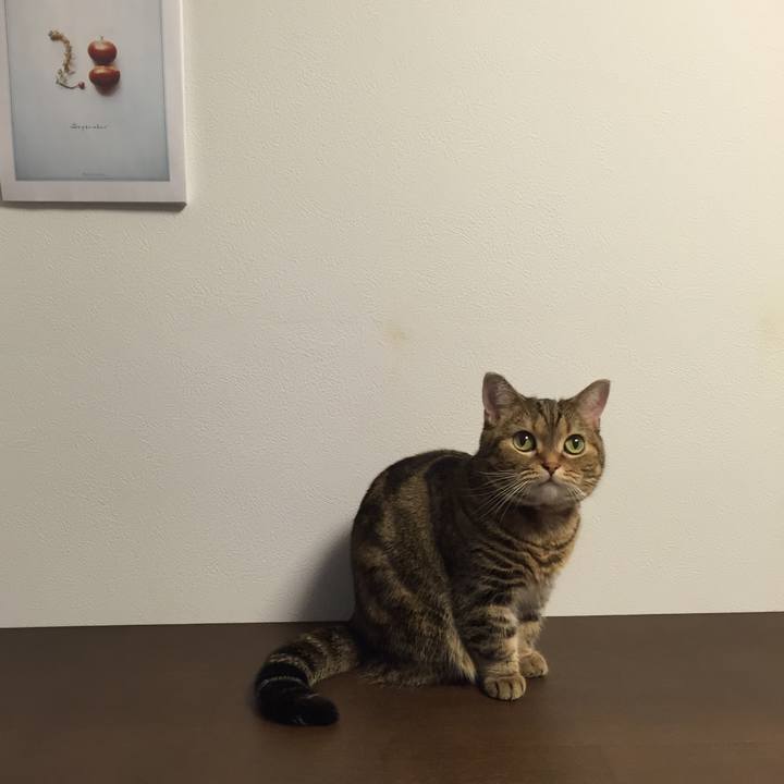 4298a0fc 0e7a 4cab 81ba 0d645e514866