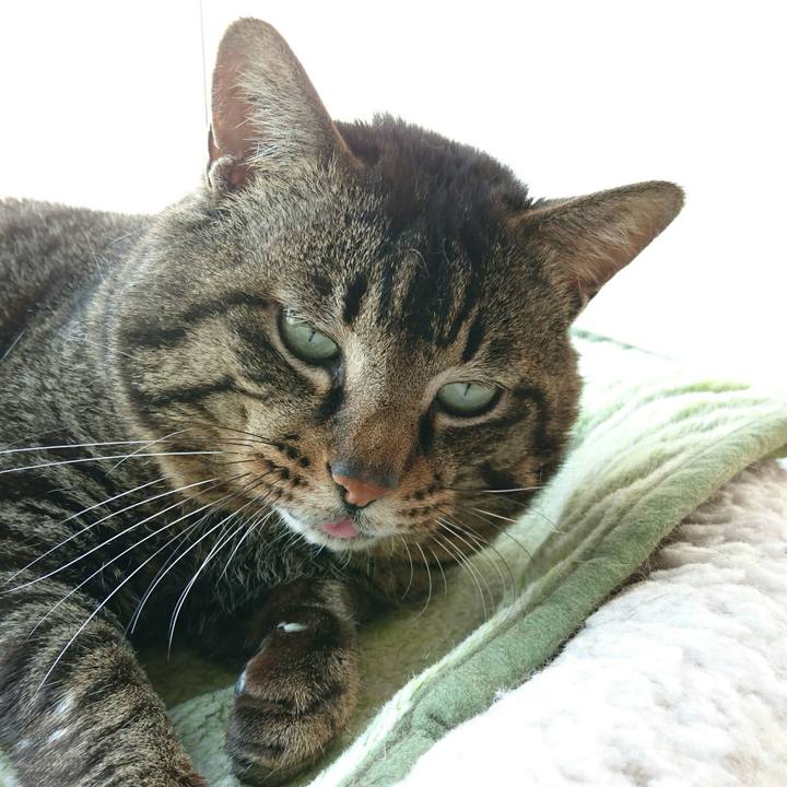 4298f12d 0930 4d22 a60d 6c2400d4a17f