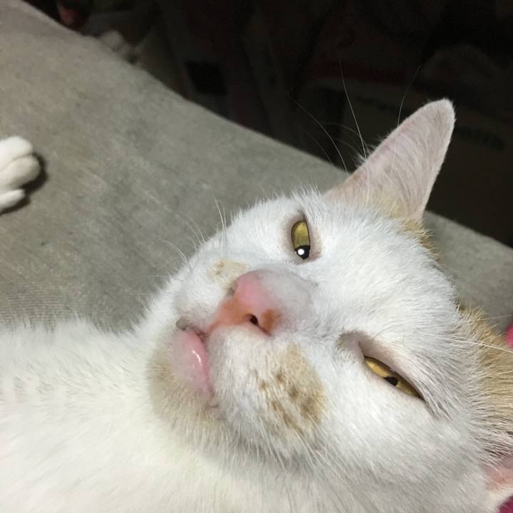 42998039 b901 4524 8018 dd97aeaa03e3