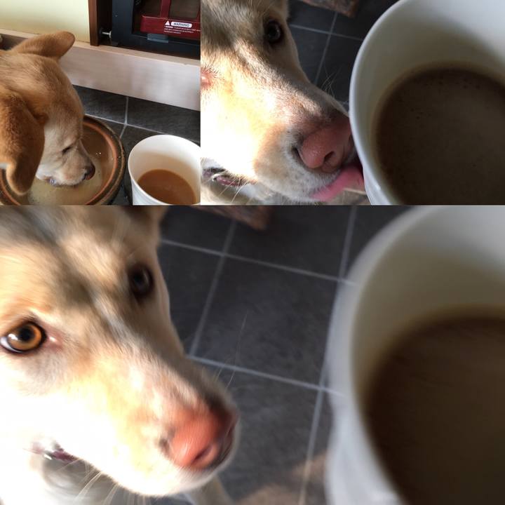 4299ca9f 2415 421c bf38 53cf886d1793