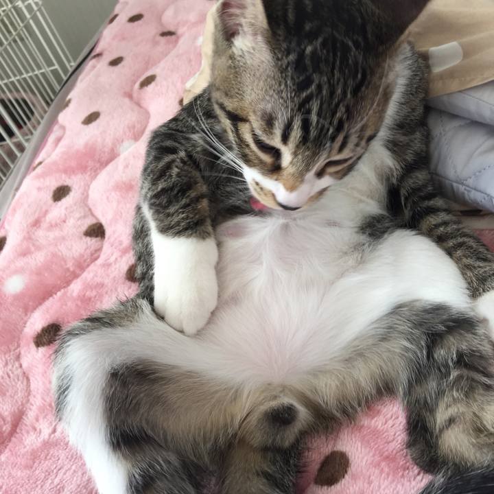 429a45fa a38d 46ee 8ada 642c8f8c5702