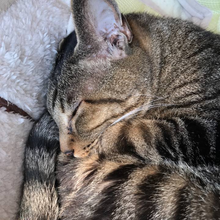 429a5768 5860 4ca4 b5d3 103a98625182