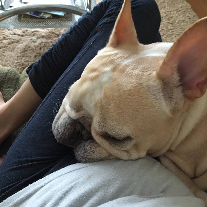 429a5e48 0e08 41c0 ab7b 22abf9e317dd