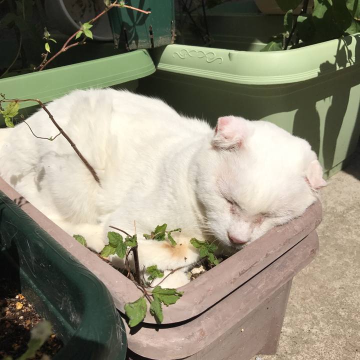 429a837c 0b28 489b 8ee3 21b5d7da078d