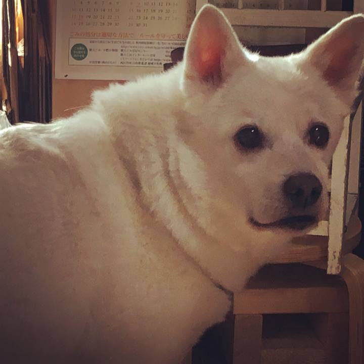 429abc93 b385 47f0 8f04 34abb8500933