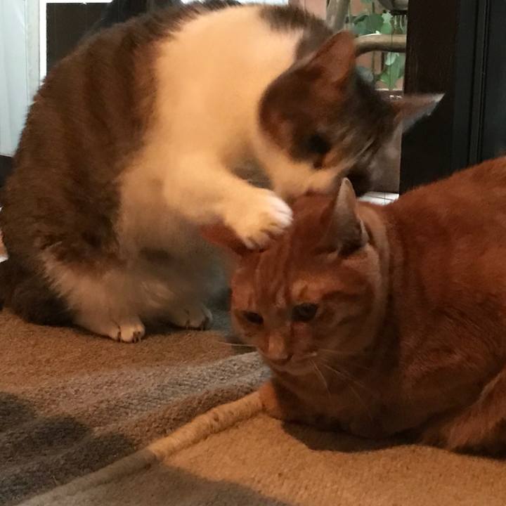 429b1662 f456 4039 a383 33f5412a59b8