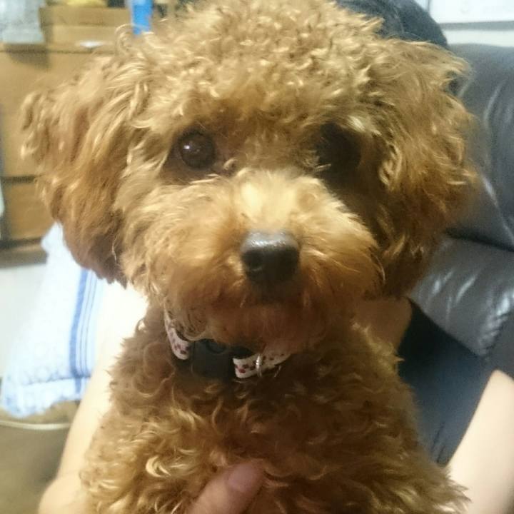 429b8baa 534a 4f63 9763 8f4949d1349b