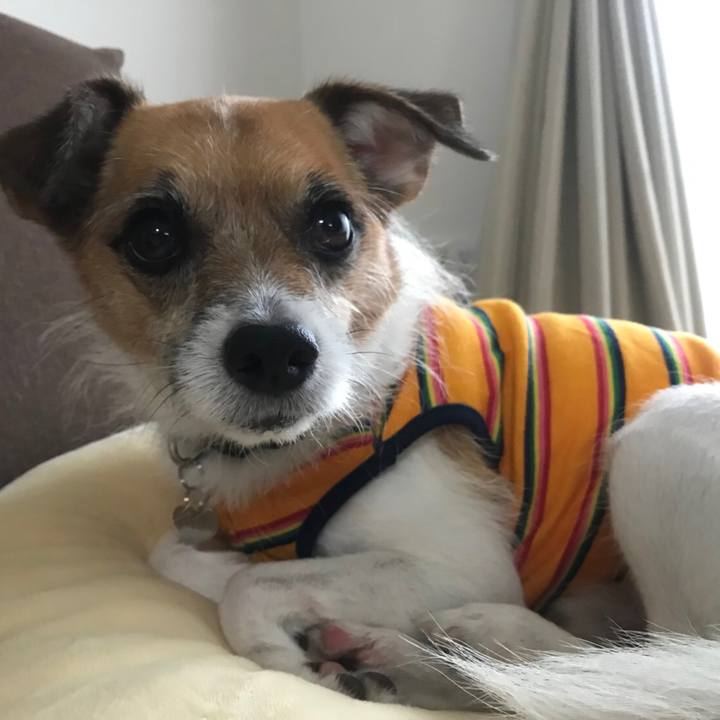 429bf92f 85f1 4b7b bdfe df7f176f80f6