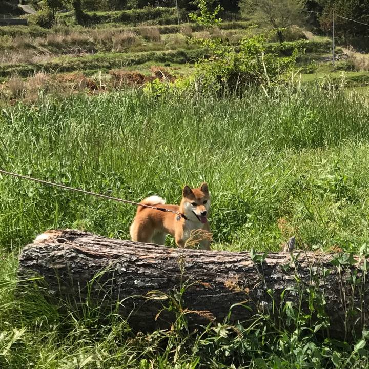 429c50c3 7f78 46f0 a45d 2137b3e74f13