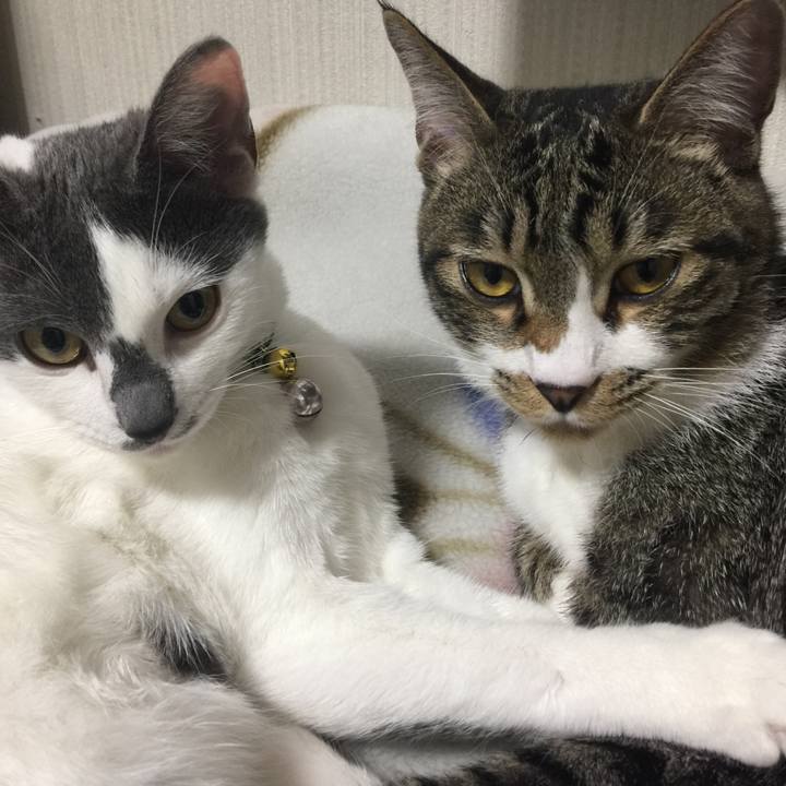 429c51b8 71f1 4d01 b1a0 3d0ce79e1b94