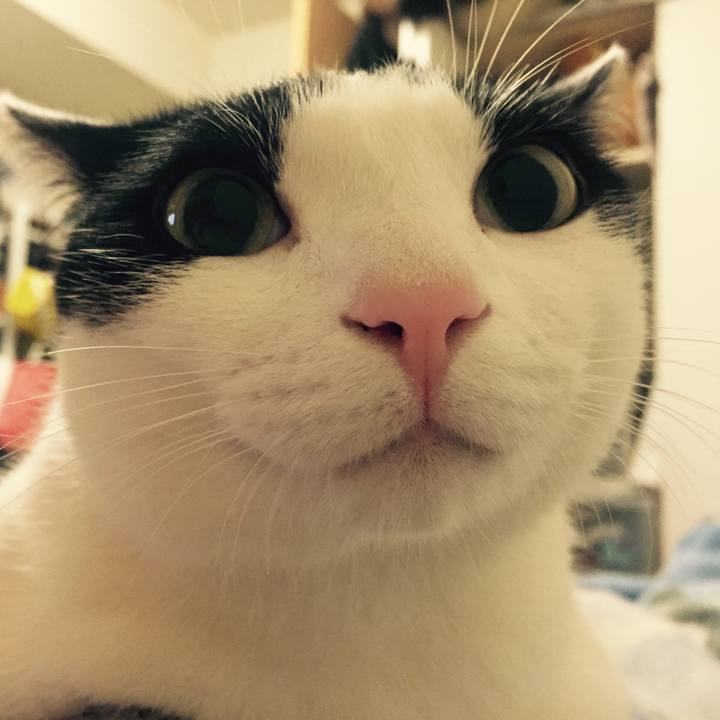 429d279a 720d 43bd 9f99 1119b980733d