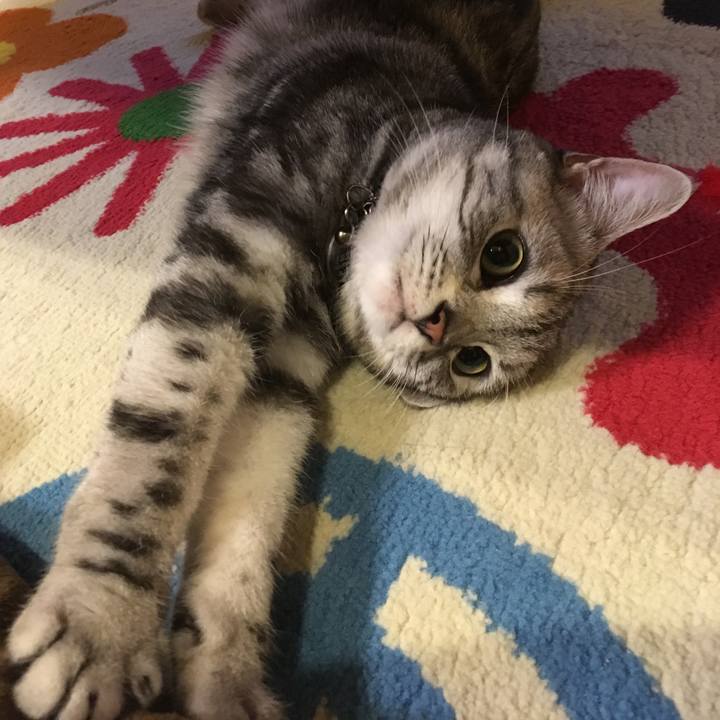 429deb41 878d 40ae 9234 a78a03e7ce89