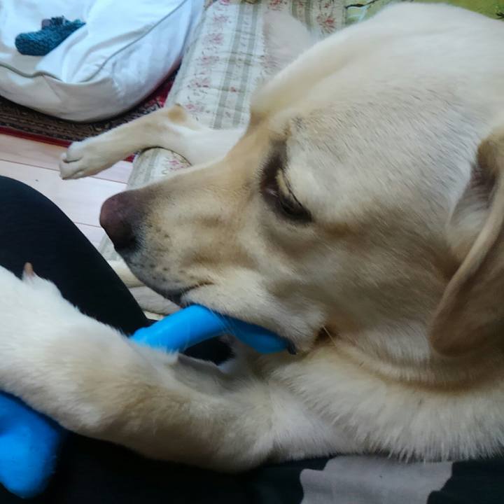 429dfde5 29b7 483f 883e 9ae7417b6a7c