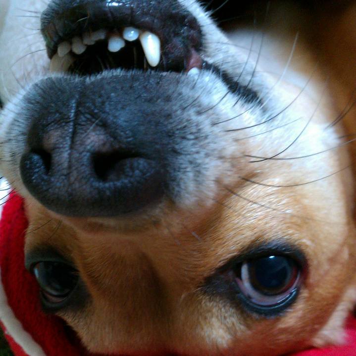 429e3f10 fc99 4db5 adbd 806f08eeada3