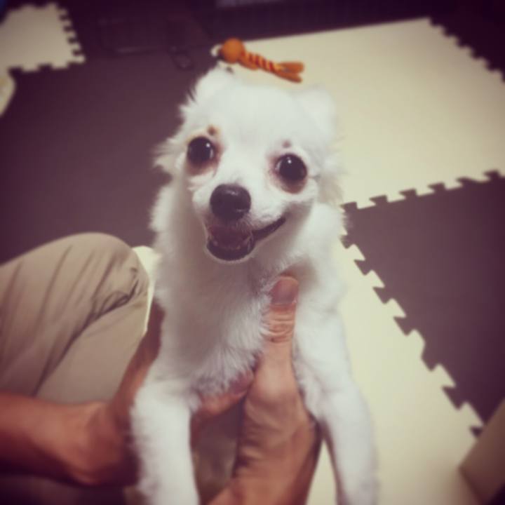 429ea9ed 324f 422e 9123 ac5458cfc33c