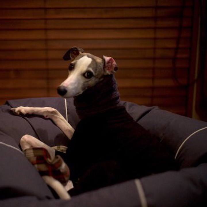 429f8196 c909 48c6 aa5a 35d44aadf159