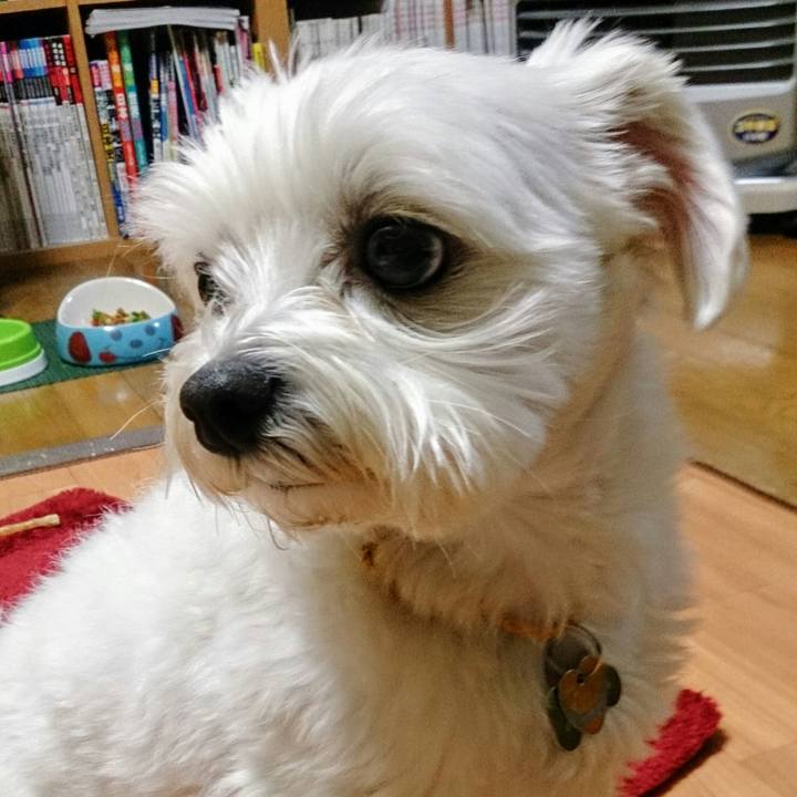 429f9bff 2e43 4c38 8fe7 832ee0b8b400