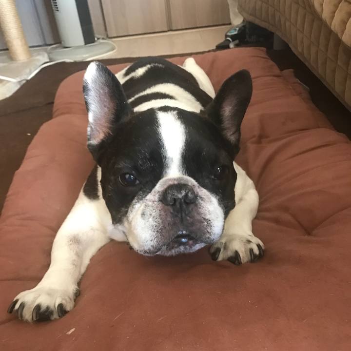 429fc237 9adb 459e ab8f 535a7ff97c63