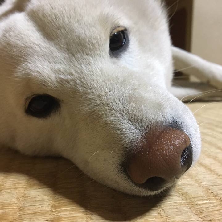 429fdbac b62b 4aaa 8d18 a87634432a39