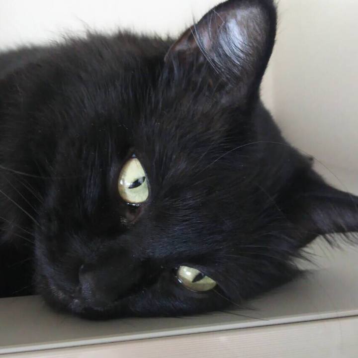 42a0344f f7c3 4aa2 a2ef c58b78a83348