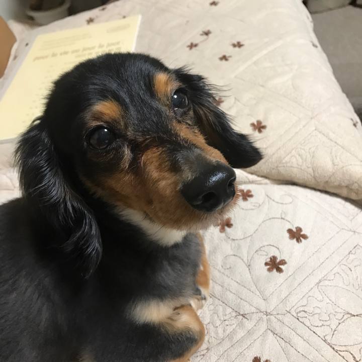 42a03a48 fabd 4c32 a1d0 97c20e95cd60