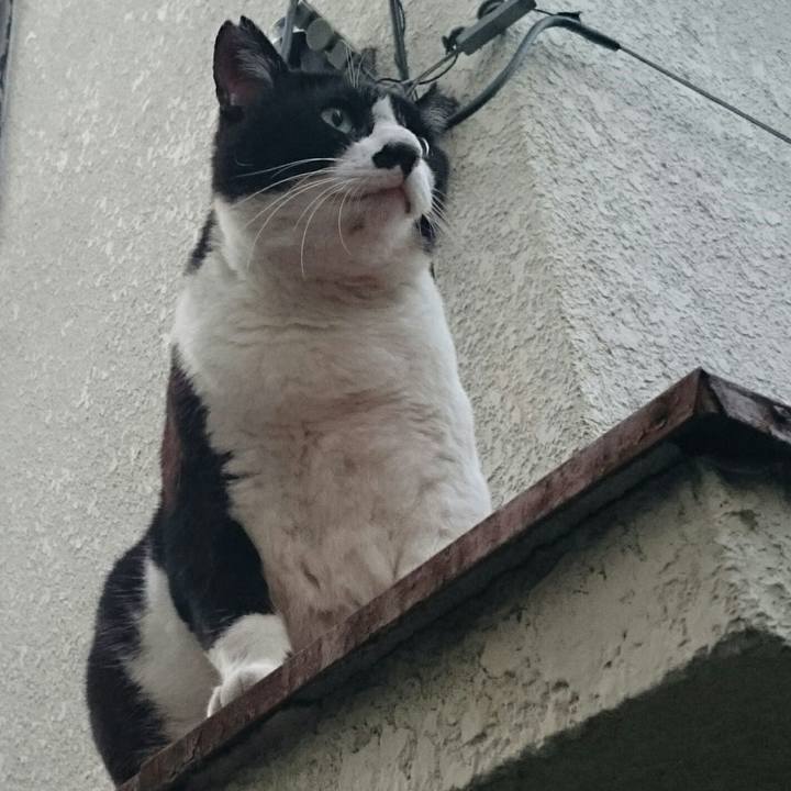 42a0ab11 1f68 4513 87b7 d8844188d57b