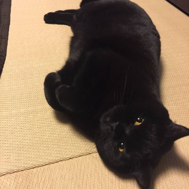 42a0bf6e 4870 4e08 a492 6f1e00beb393