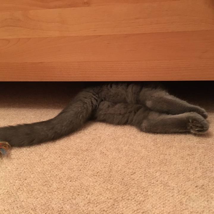 42a15e59 93a9 481d 8e3b 427562d8f5b6