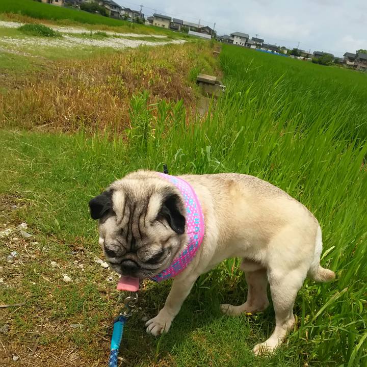 42a18776 7c33 4a45 bfe6 3081f8459af7