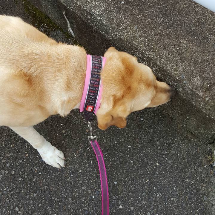 42a1bb1f 32d2 42e0 83c5 811cb15baca7