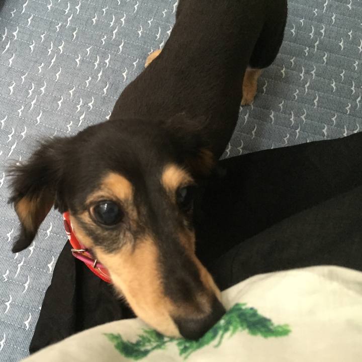 42a1cf7f c419 4915 a883 e196c25423cd