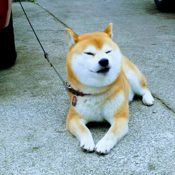 42a292db 0728 4f0b a83f d3779cacd70d