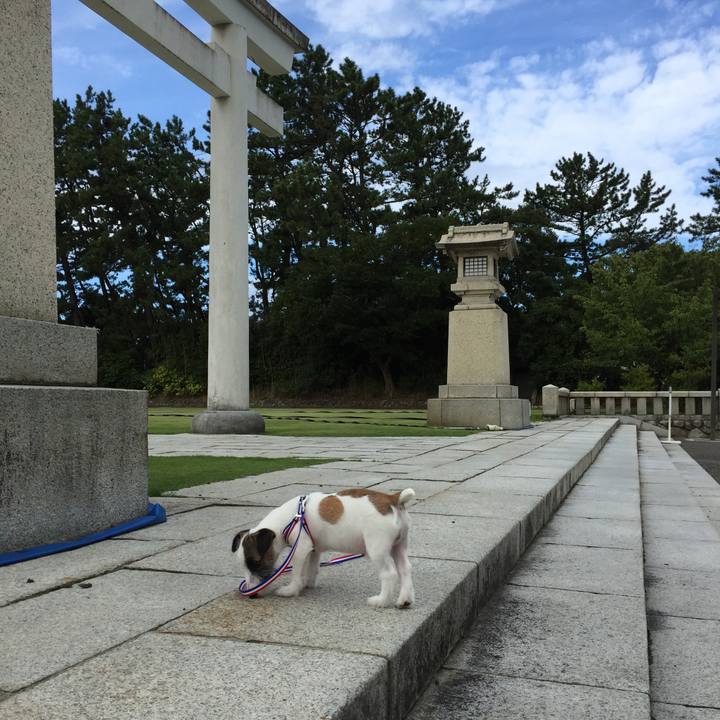 42a34604 87e1 4816 aaa4 092c3416d9f3