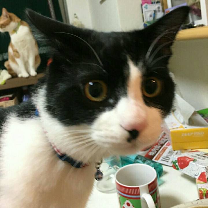 42a3b879 73cc 4a1c 9738 81c4583ec2b2