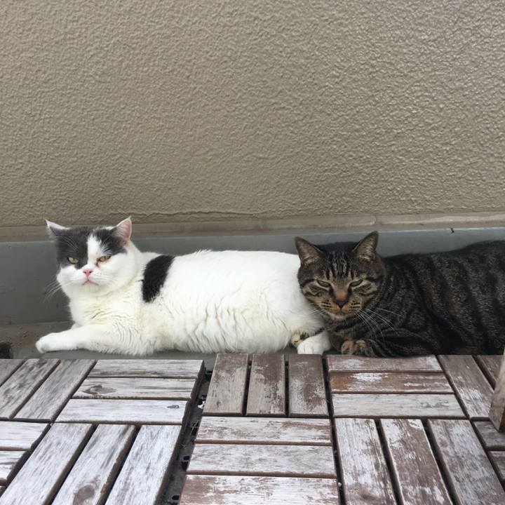 42a40bd9 e7b6 4ede 9065 dd758365d5d0