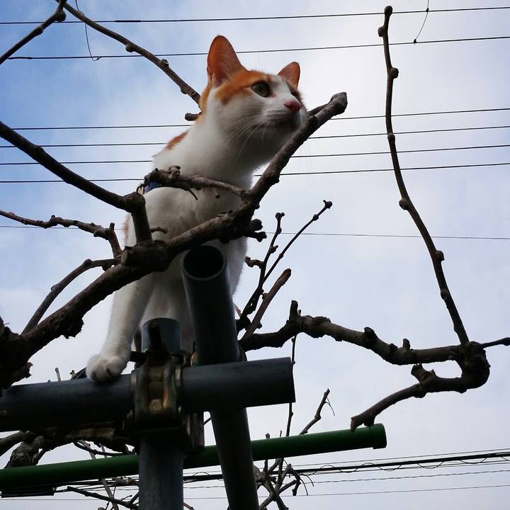 42a482a3 801a 464e b7eb 0ea1ff18ba1b