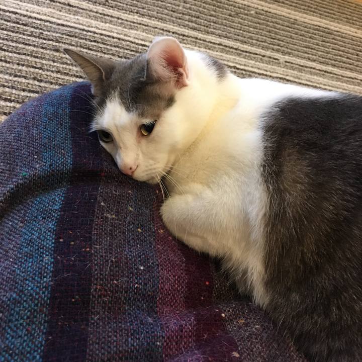 42a4ec01 ebab 40ca bfd4 c2ffcea80005